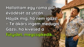 Hallottam egy roma pár évődését az utcán. Hájják mig, há nem igázs! – Te ákárs ingem medugni Gázsi, ha kivesed a fütyidet, megcsipkedik...