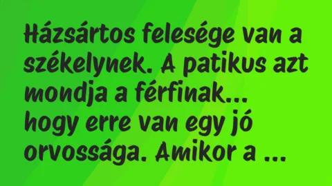 Viccek: Házsártos felesége van a székelynek. A patikus azt mondja a férfinak…