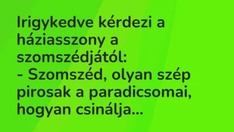 Viccek: Irigykedve kérdezi a háziasszony a szomszédjától…