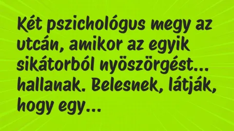 Viccek: Két pszichológus megy az utcán, amikor az egyik sikátorból…
