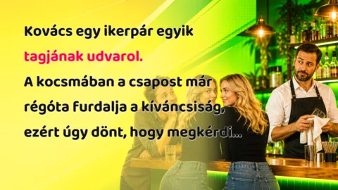 Kovács egy ikerpár egyik tagjának udvarol. A kocsmában a csapost már régóta furdalja a kíváncsiság, ezért úgy dönt, hogy megkérdi...