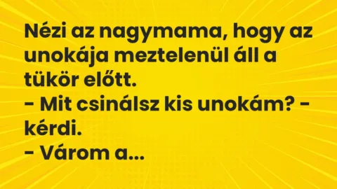 Viccek: Nézi az nagymama, hogy az unokája meztelenül áll a tükör előtt…