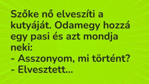 Viccek: Szőke nő elveszíti a kutyáját. Odamegy hozzá egy pasi és azt mondja…