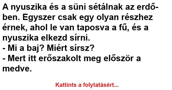 Vicc: A nyuszika és a süni sétálnak az erdőben Vicc: A nyuszika és a süni sétálnak az erdőben
