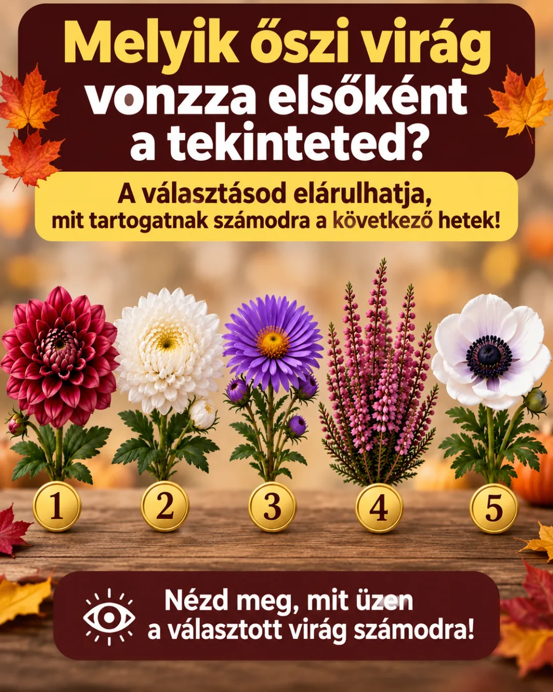 Rejtvény: Melyik őszi virág vonzza elsőként a tekinteted? A választásod...