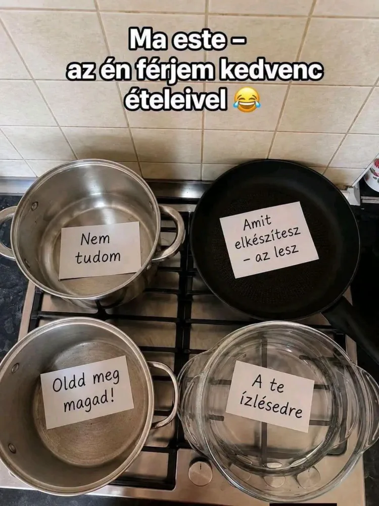Ma este – az én férjem kedvenc ételeivel... Ma este – az én férjem kedvenc ételeivel...