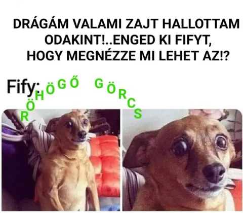 Drágám valami zajt hallottam odakint! Enged ki fifyt?