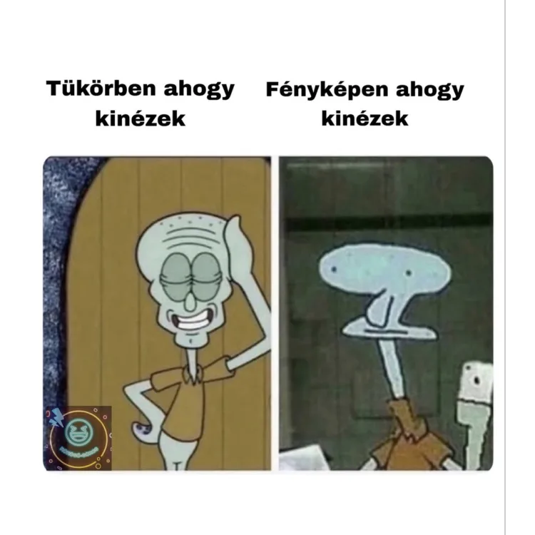 Tükörben ahogy kinézek... Tükörben ahogy kinézek...