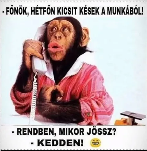 Főnök, hétfőn kicsit kések a munkából!