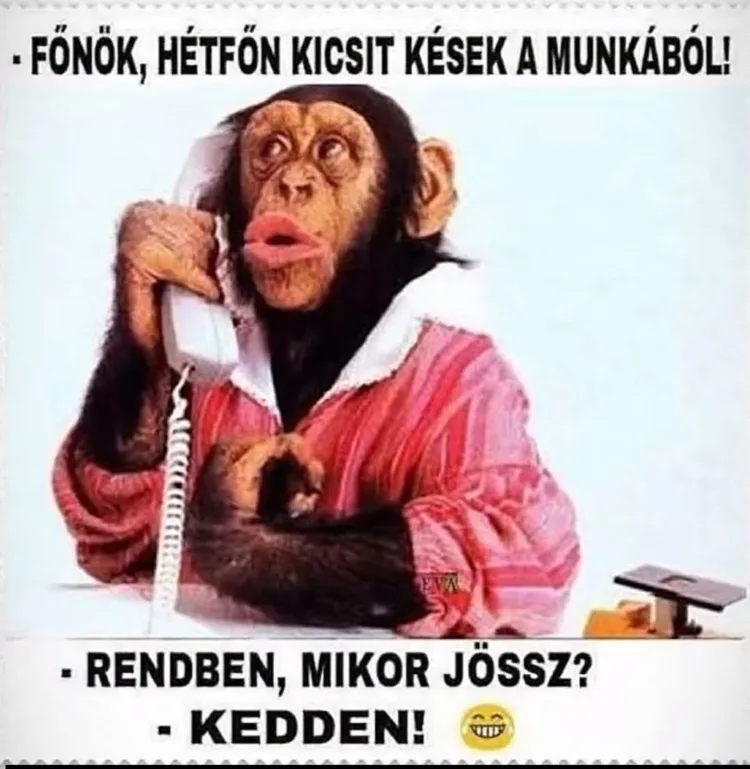 Főnök, hétfőn kicsit kések a munkából! Főnök, hétfőn kicsit kések a munkából!