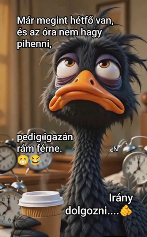Már megint hétfő van...