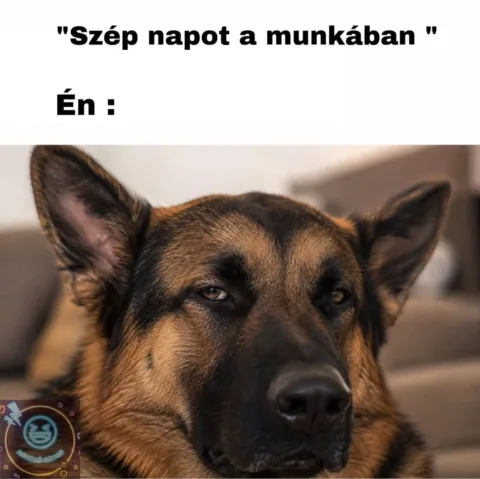Szép napot a munkában