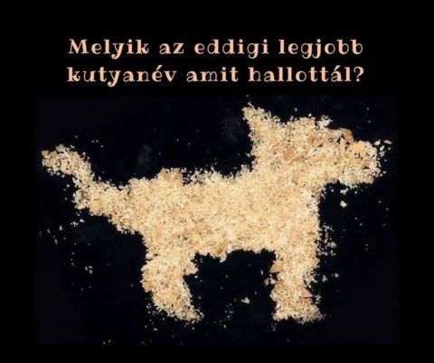 Melyik az eddigi legjobb kutyanév amit hallottál?