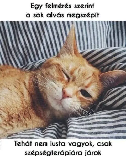 Egy felmérés szerint a sok alvás megszépít...