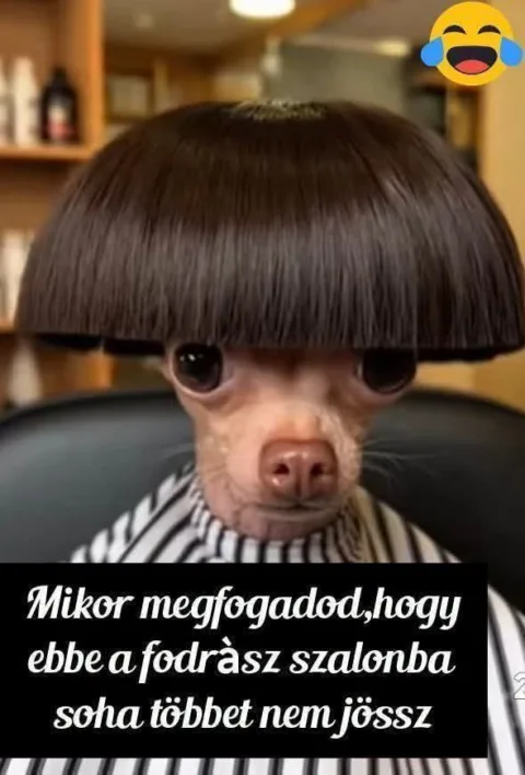 #VK1789273776