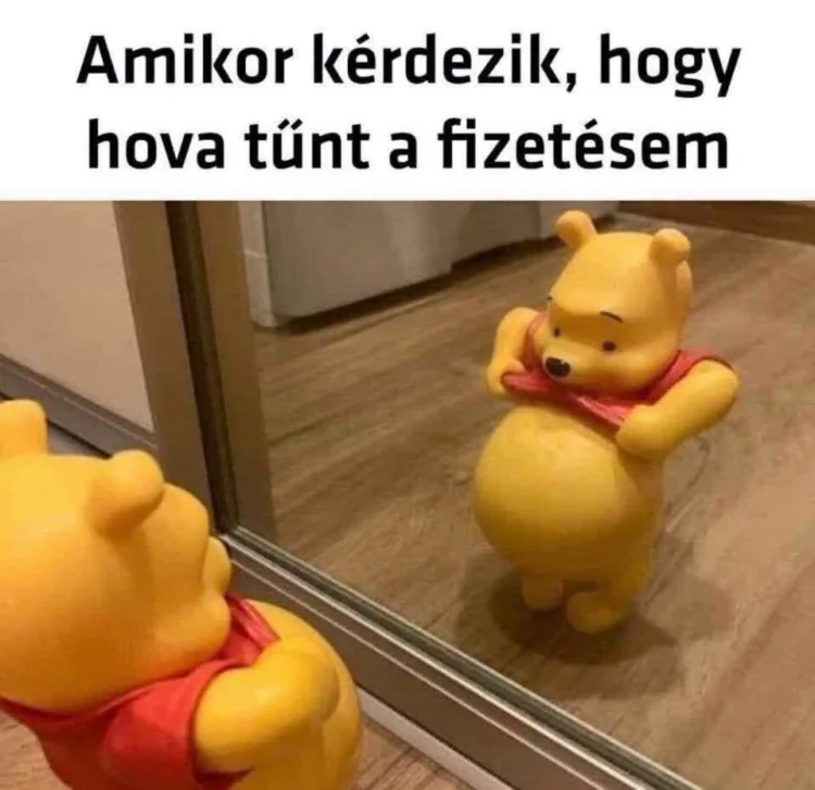 Amikor kérdezik, hogy hova tűnt a fizetésem Amikor kérdezik, hogy hova tűnt a fizetésem