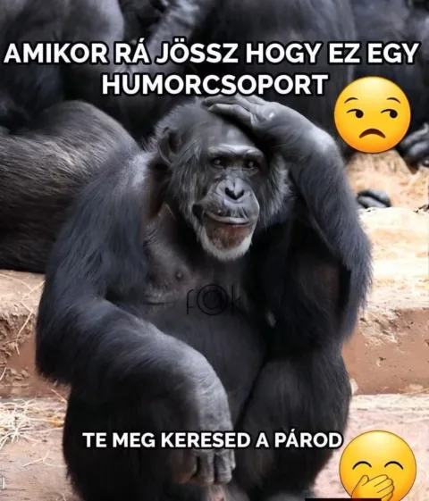 Amikor rá jössz hogy ez egy humorcsoport...