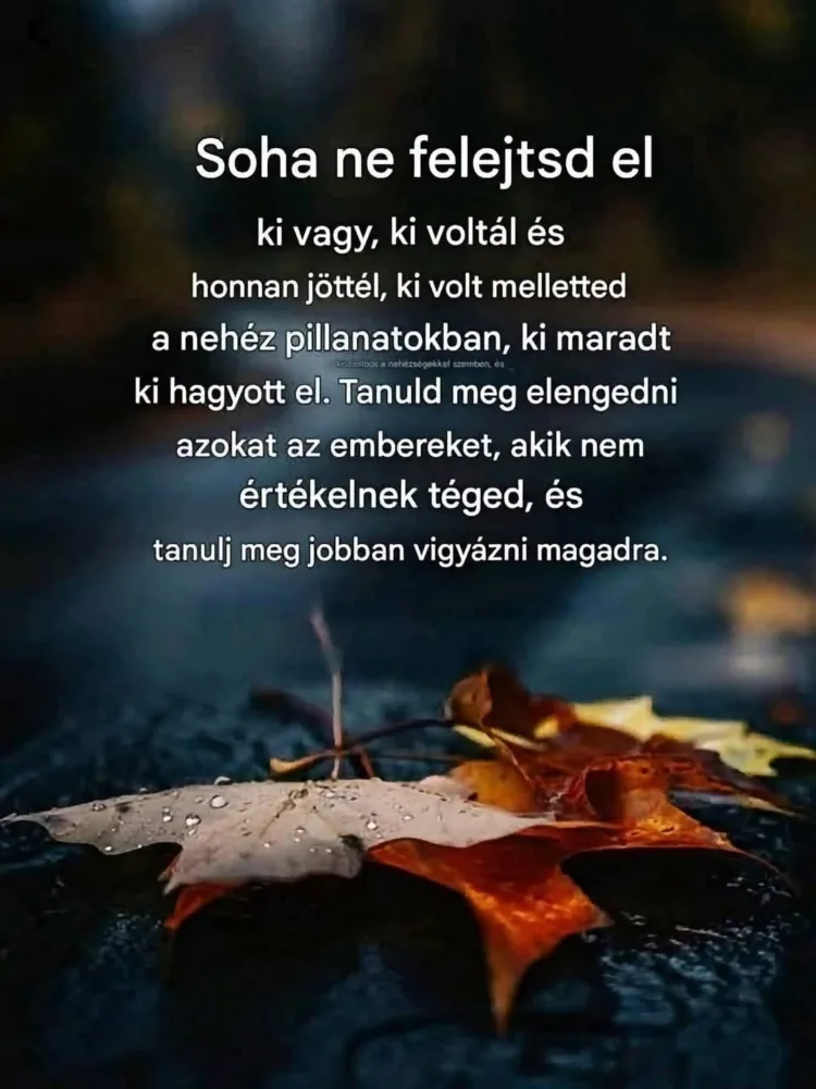 Soha ne felejtsd el... Soha ne felejtsd el...