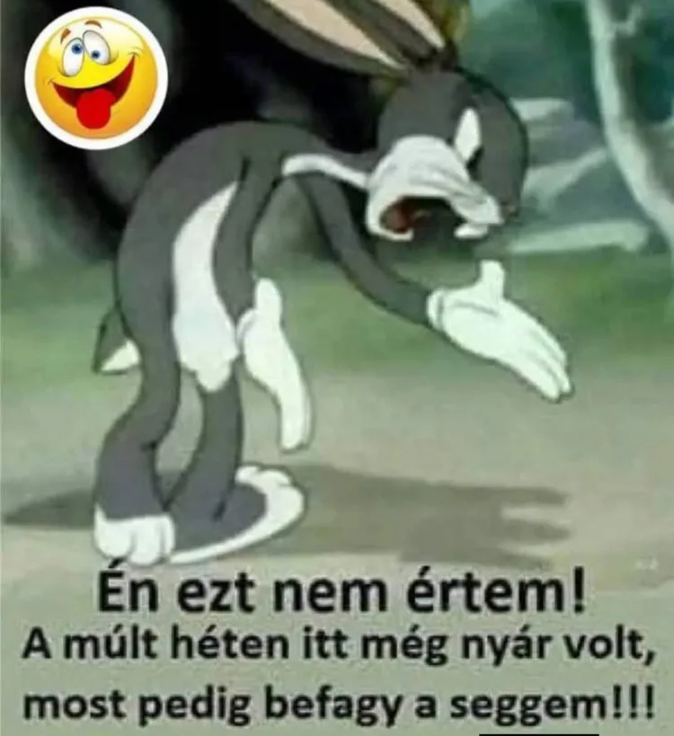Én ezt nem értem! Én ezt nem értem!
