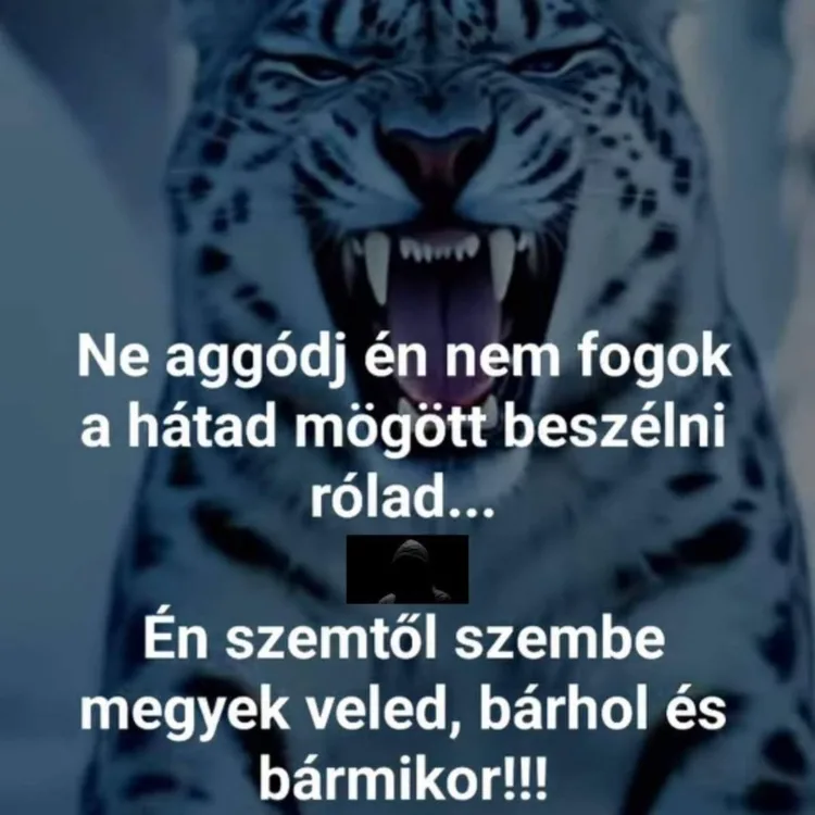 Ne aggódj én nem fogok a hátad mögött beszélni rólad... Ne aggódj én nem fogok a hátad mögött beszélni rólad...