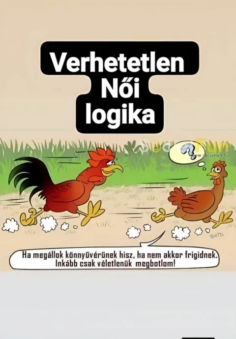 Verhetetlen női logika...