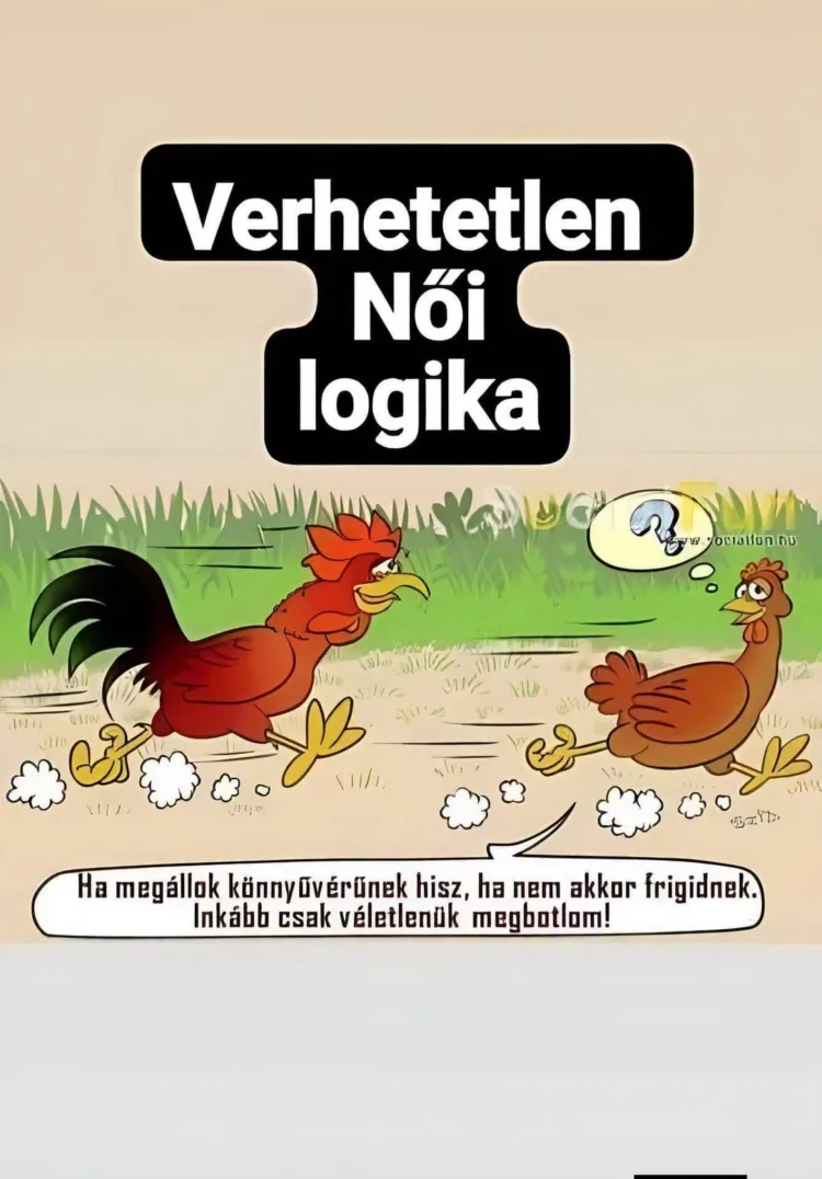 Verhetetlen női logika... Verhetetlen női logika...