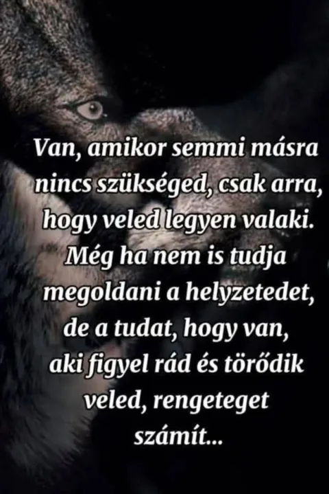 Van, amikor semmi másra nincs szükséged?