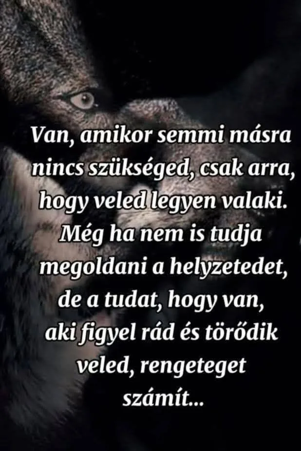 Van, amikor semmi másra nincs szükséged? Van, amikor semmi másra nincs szükséged?