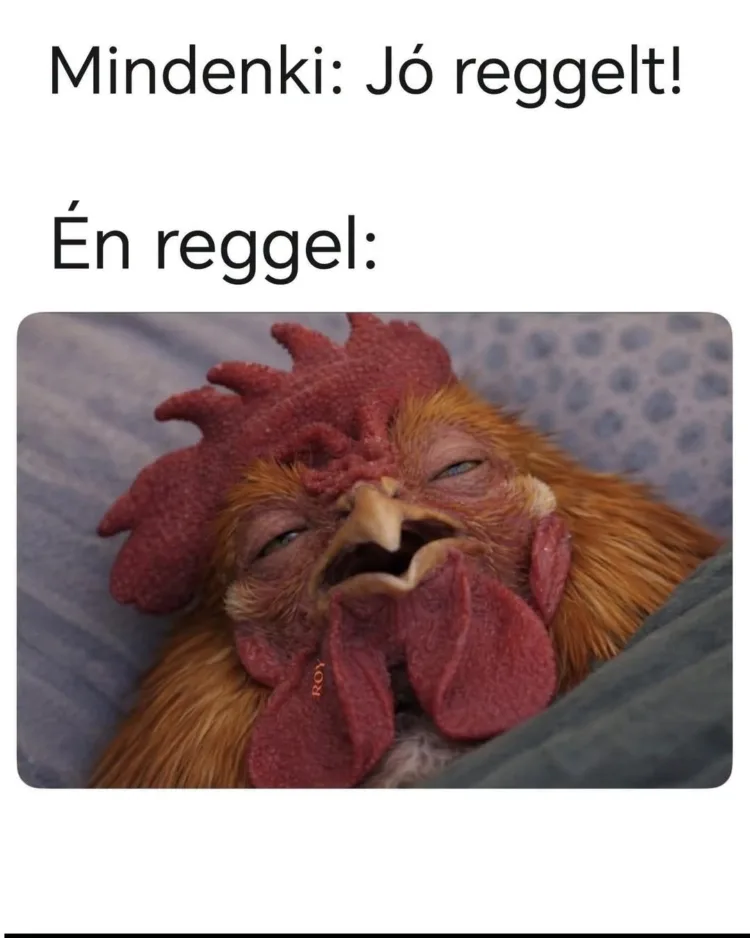 #VK1790306530 #VK1790306530
