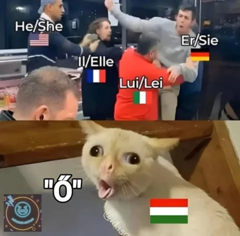He/She, Il/Elle, Er/Sie, Lui/Lei, "Ő He/She, Il/Elle, Er/Sie, Lui/Lei, "Ő