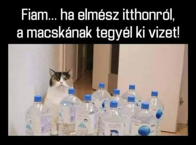 Fiam... ha elmész itthonról, a macskának tegyél ki vizet! Fiam... ha elmész itthonról, a macskának tegyél ki vizet!