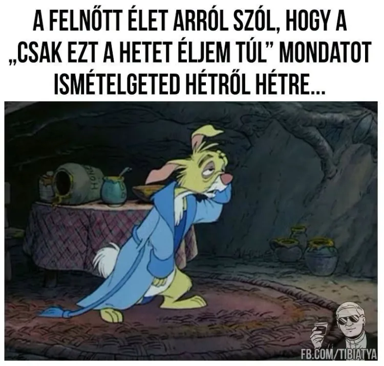 A felnőtt élet arról szól... A felnőtt élet arról szól...