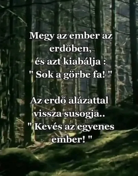 Megy az ember az erdőben...