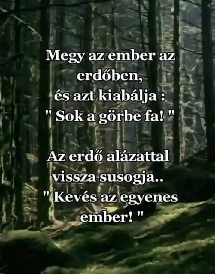 Megy az ember az erdőben... Megy az ember az erdőben...