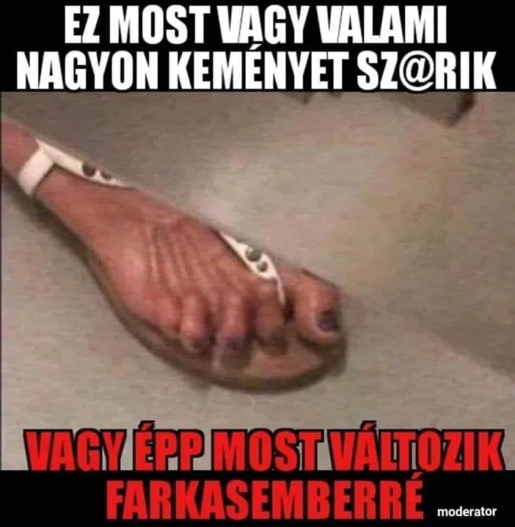 vagy épp most változik farkasemberré vagy épp most változik farkasemberré