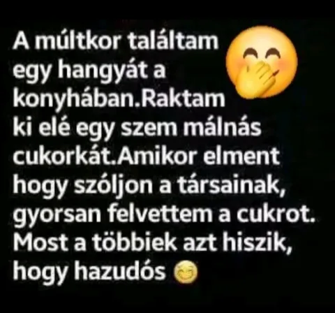A múltkor találtam egy hangyát a konyhában...