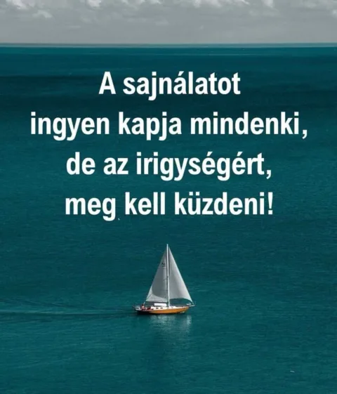 A sajnálatot ingyen kapja mindenki...