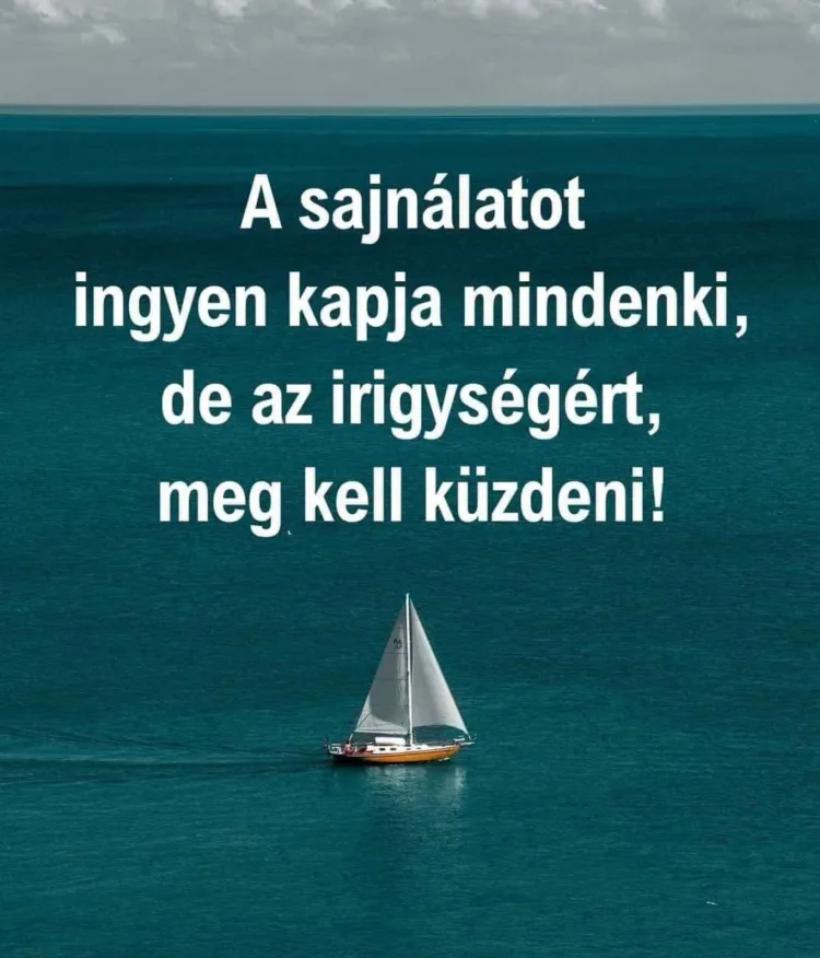 A sajnálatot ingyen kapja mindenki... A sajnálatot ingyen kapja mindenki...
