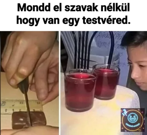 Mondd el szavak nélkül hogy van egy testvéred.