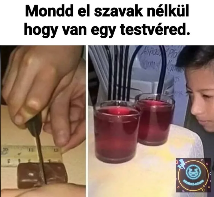 Mondd el szavak nélkül hogy van egy testvéred. Mondd el szavak nélkül hogy van egy testvéred.