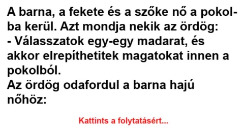 Vicc: A barna, a fekete és a szőke nő a pokolba kerül