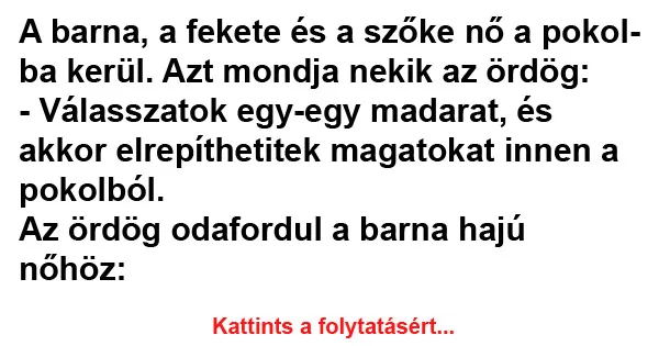 Vicc: A barna, a fekete és a szőke nő a Vicc: A barna, a fekete és a szőke nő a pokolba kerül