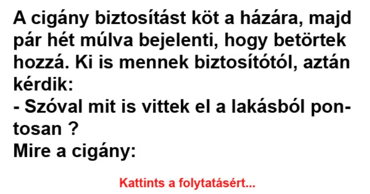 Vicc: A cigány biztosítást köt a házára - Vicc: A cigány biztosítást köt a házára –