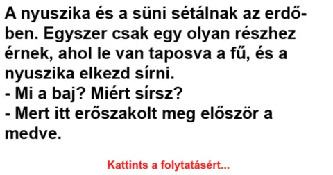 Vicc: A nyuszika és a süni sétálnak az erdőben –