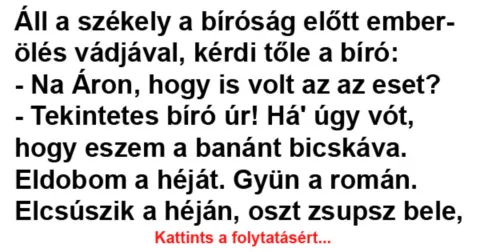 Vicc: Áll a székely a bíróság előtt emberölés vádjával –