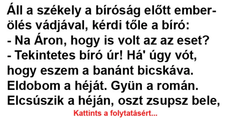 Vicc: Áll a székely a bíróság előtt emberölés vádjával - Vicc: Áll a székely a bíróság előtt emberölés vádjával –