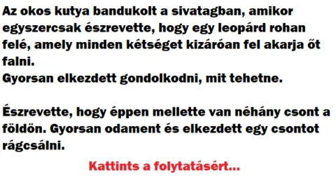 Vicc: Az okos kutya bandukolt a sivatagban Vicc: Az okos kutya bandukolt a sivatagban