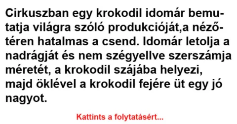 Vicc: Cirkuszban egy krokodil idomár bemutatja világra szóló produkcióját -…