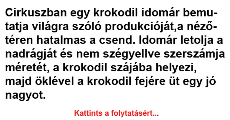 Vicc: Cirkuszban egy krokodil idomár bemutatja világra szóló produkcióját -... Vicc: Cirkuszban egy krokodil idomár bemutatja világra szóló produkcióját -…