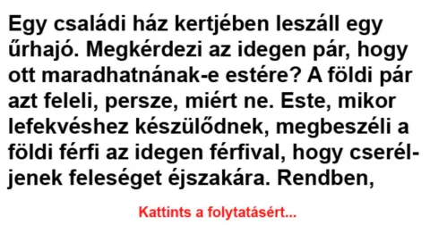 Vicc: Egy családi ház kertjében leszáll egy űrhajó –